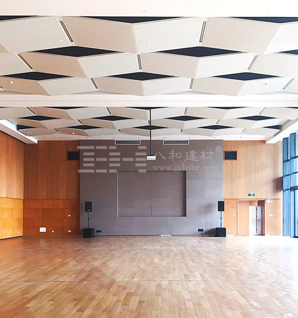 上海外高橋文化藝術(shù)中心-穿孔鋁單板 、鋁天花吊頂4