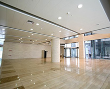 大堂吊頂 大堂吊頂